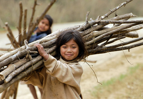 Дети собирают дрова. drovavam.ru