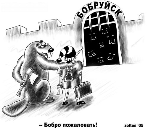 Карикатура про дрова Бобруйск -добро пожаловать, Буранино на drovavam.ru 