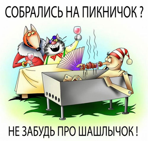 Карикатура про дрова собрались на пикничек не забудь про шашлычок, кот лисичке говорит - Буротина то горит! на drovavam.ru 
