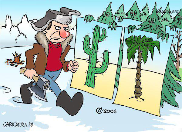 Карикатура про дрова лес маскируеется под пальмы и кактусы на drovavam.ru