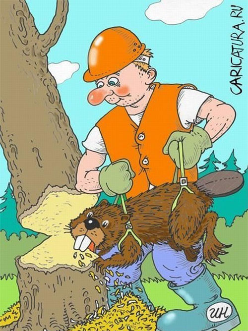 Карикатура про дрова - бобер ручная пила на drovavam.ru