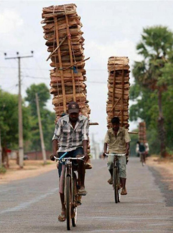 забавные фото дрова. Сколько дров может перевести велосипедист? на drovavam.ru